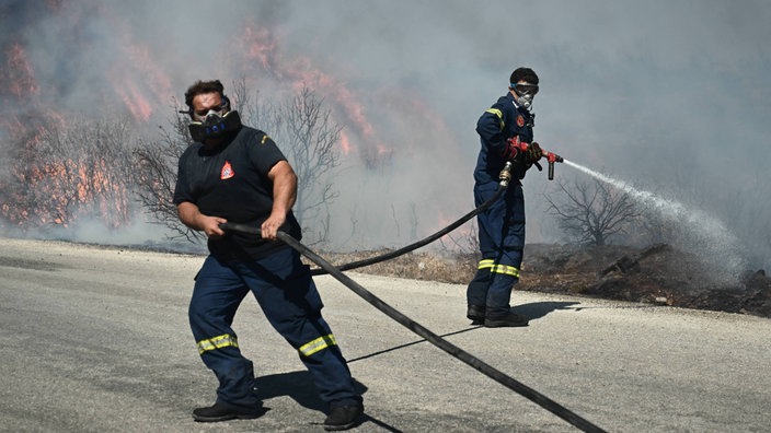 Zwei Feuerwehrmänner die von einer Straße aus gegen das Feuer im anliegenden Dickicht, kämpfen.