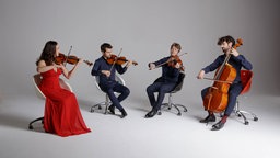 Das Alinde Quartett beim Musizieren.