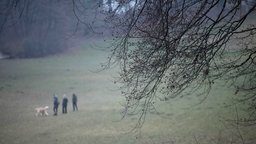 Blick von einem Hügel aus: Auf einer Wiese stehen drei Menschen mit einem Hund.