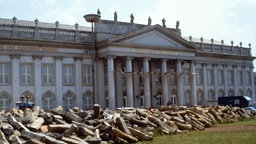 Basaltsteine auf dem Friedrichsplatz vor dem Museum Fridericianum in Kassel für das Projekt 7000 Eichen von Joseph Beuys.