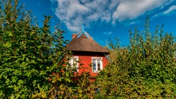 Ein rotes Landhaus ragt hinter grünen Buschen hervor.