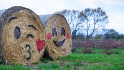 Runde Strohballen, die mit Gesichtern in der Art von Emoji bemalt wurden, am Rande eines Feldes.