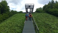 Bergwandern im Ruhrgebiet