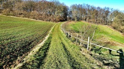 Kakushöhle in der Eifel: Wanderweg A 1 von der Höhle zum Feybachtal