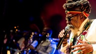 Reggae wird 50