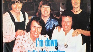 Cover: Hollies mit I'm down