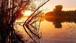 Rhein bei Sonnenaufgang im Naturschutzgebiet Bislicher Insel