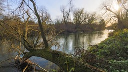 Ein Fluss in der Landschaft