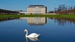 Schloss Augustusburg in Brühl