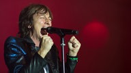 Gianna Nannini auf der Bühne (2013)