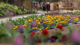 Die Landesgartenschau in Höxter