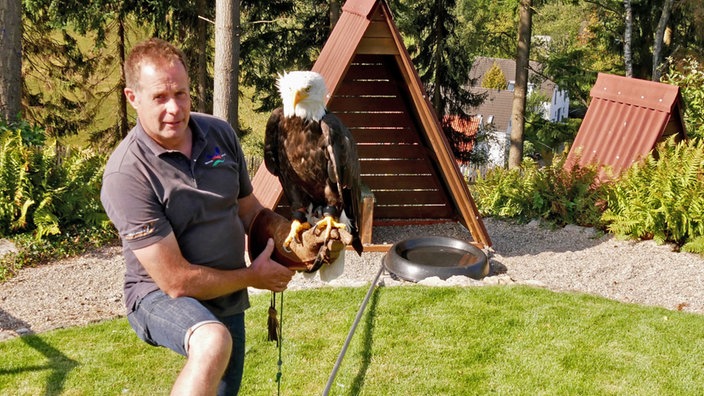 Falkner Klaus Hansen mit Raubvogel auf dem Arm