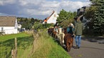 Wandern mit Alpakas in Arnsberg-Wennigloh, Sauerland