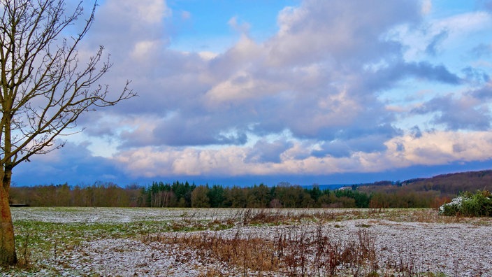 Eiskalt - durch den Bürenbrucher Wald 