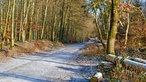 Eiskalt - durch den Bürenbrucher Wald 