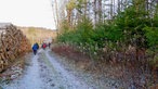 Eiskalt - durch den Bürenbrucher Wald 