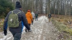 Früh raus zu Eisvogel und Wintergoldhähnchen