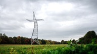  Der "Zauberlehrling", ein tanzender Strommast im Gehölzgarten Ripshorst, errichtet im Rahmen der Emscherkunst 