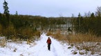 Wandern mit Husky: Herz über Kopf! 