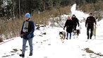 Wandern mit Husky: Herz über Kopf! 