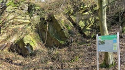 Spaziergang auf dem Geopfad rund um den Kaisberg Hagen