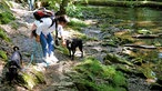 Klosterlandschaftsweg Altenberg: Wandern auf nassen Pfoten 