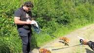 Krimiwanderung mit Hunden