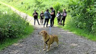 Krimiwanderung mit Hunden