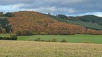 Lauschpöhle erzählen Dorfgeschichten