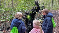 Wald-Zauber-Magie – Märchenwanderung im Advent 