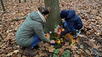 Wald-Zauber-Magie – Märchenwanderung im Advent 