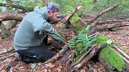 Survival-Outdoor – Abenteuerwandern in der "Wildnis"