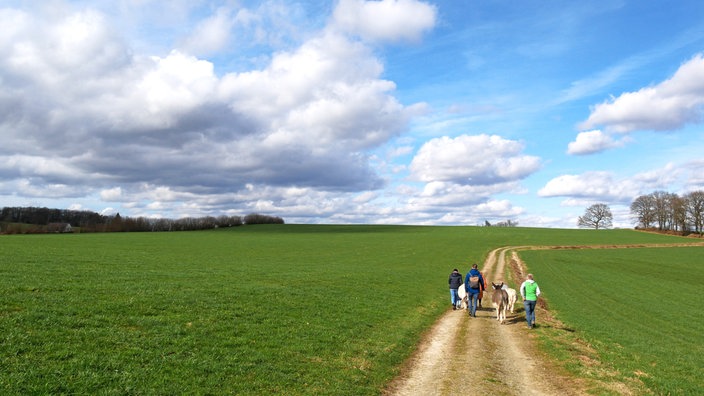 Eine Wanderung mit Eseln von Schalksmühle nach Breckerfeld