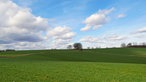 Eine Wanderung mit Eseln von Schalksmühle nach Breckerfeld