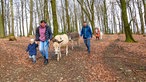 Eine Wanderung mit Eseln von Schalksmühle nach Breckerfeld