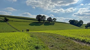 Weite, grüne Felder bei Sonnenschein auf denen Menschen spazieren. 