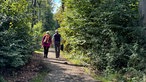 Ein älterer Mann und eine ältere Frau gehen durch den Wald. 