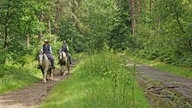 Reiterinnen auf Reitweg