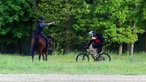 Reiter und Radfahrer