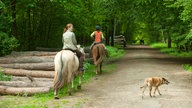 Zwei Reiter und ein Hund