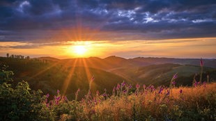 Sonnenuntergang im Sauerland