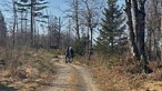 Radfahrer auf dem Weg zum Herveler Bruch