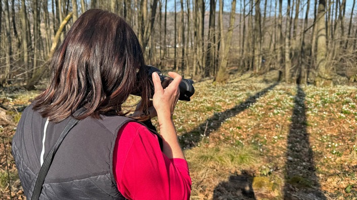 Eine Fotografin fotografiert die  Märzenbecher.