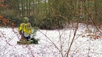 Kunstwerke und Skultpuren im Schlosspark 