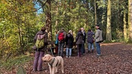 Exkursion im Arboretum Burgholz Wuppertal