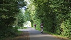 Zwei Fahrradfahrer auf einem Radweg