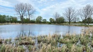 Niedermoorgebiet im Kreis Soest