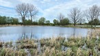 Niedermoorgebiet im Kreis Soest