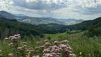 Ausblick am Wegesrand