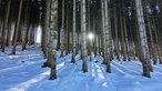 Winterwanderweg zwischen Bad Berleburg-Wunderthausen und Hallenberg